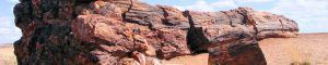 Parque Nacional Bosque Petrificado. Arizona, Estados Unidos.
