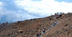 Parque Nacional de las Cañadas del Teide. Isla de Tenerife. Islas Canarias.