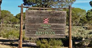 Parque Nacional de Doñana. Huelva, Andalucía.