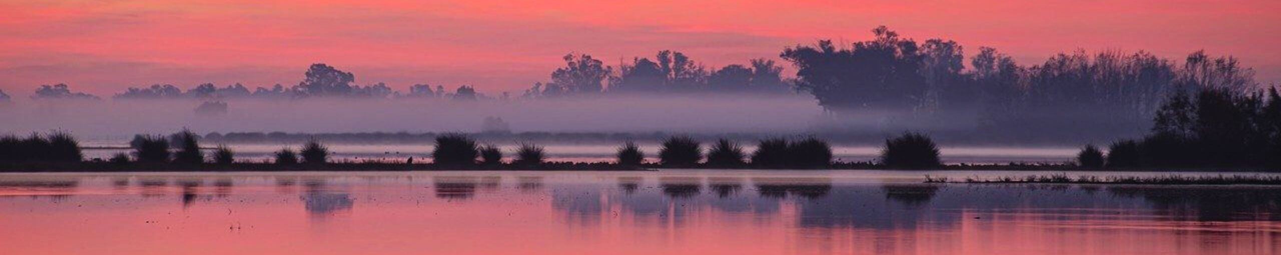 Parque Nacional de Doñana. Huelva, Andalucía, España.