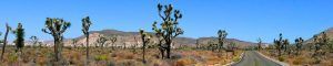 Parque Nacional de Joshua Tree, California. Estados Unidos.