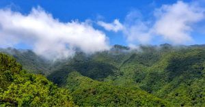 Parque Nacional de la Caldera de Taburiente. La Palma, Islas Canarias.