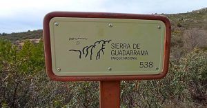 Parque Nacional de la Sierra de Guadarrama. Navacerrada, Madrid.
