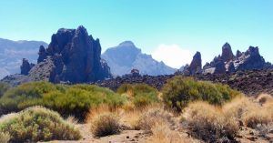 Parque Nacional de las Cañadas del Teide. Roque García. Isla de Tenerife, Islas Canarias.