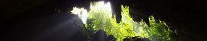Parque Nacional de las Cavernas del Río Camuy. Puerto Rico.