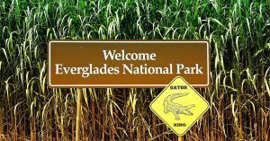 Parque Nacional Everglades, Florida. En Estados Unidos.