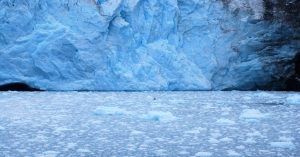 Parque Nacional Fiordos de Kenai. Exit Glacier Área. Alaska, Estados Unidos.