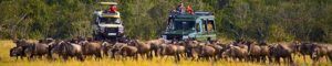Parque Nacional Masai Mara en Tanzania.