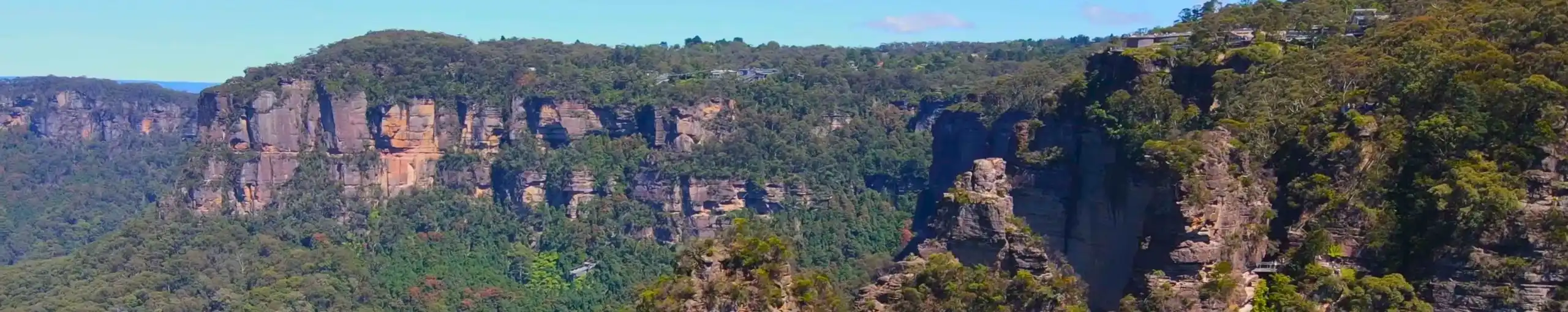 Parque Nacional Montañas Azules. Australia.