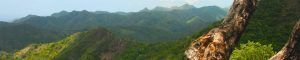 Parque Nacional Sierra Maestra. Granma, Estados Unidos.