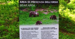 Parque Natural Adamello Brenta. Cartel Peligro de Osos. Madona di Campiglio, Dolomitas de Brenta. Belluno, Véneto. Italia.