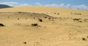 Parque Natural de las Dunas de Corralejo. Fuerteventura. Islas Canarias.