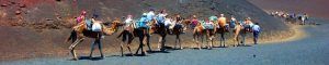 Parques Nacionales de Canarias. Parque Nacional de Timanfaya, Lanzarote, Islas Canarias.