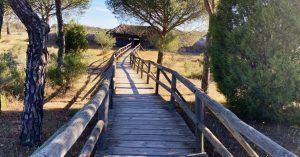 Pasarela Centro de Visitantes el Acebuche. Doñana, Viaje a Huelva. Andalucía.