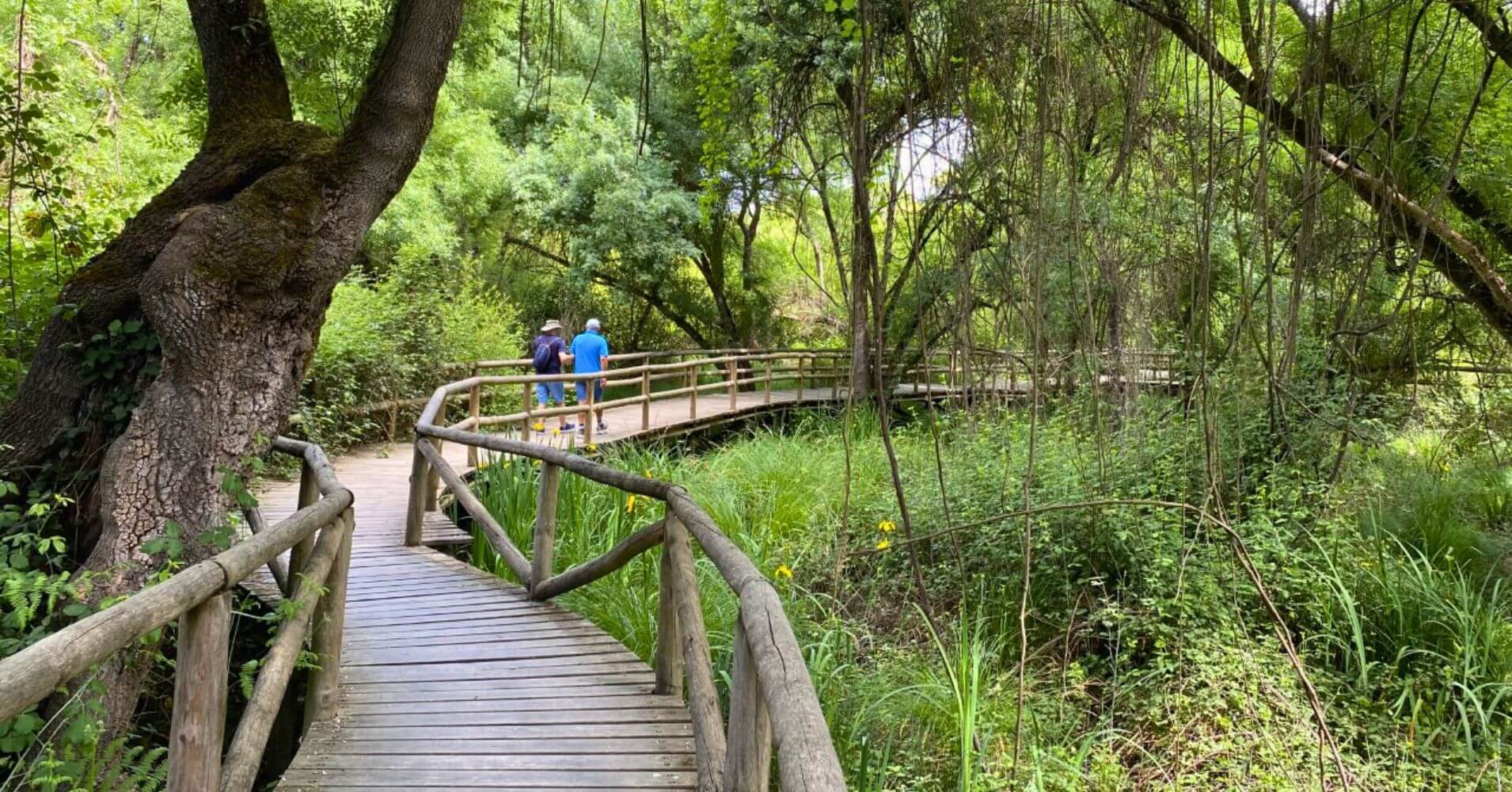 Pasarela Charco de Acebrón. Viaje a Huelva. Andalucía. Pasarela Charco de Acebrón. Viaje a Huelva. Andalucía.