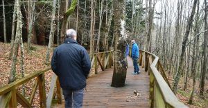 Pasarela del Bosque de Secuoyas. Cabezón de la Sal, Cantabria.