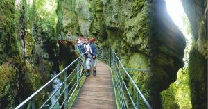 Pasarela Gorges du Fier. Lovagni, Alta Saboya. Auvernia-Ródano-Alpes. Francia.