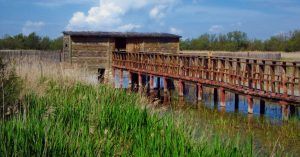 Pasarela del Parque Nacional de las Tablas de Daimiel. Ciudad Real, Castilla la Mancha.