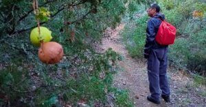 Pasenado por los Montes de Toledo.