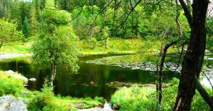 Paseo Lago de Skomakerdiket. Noruega