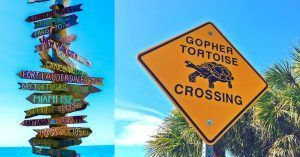 Paso de Tortugas. Florida, Estados Unidos.