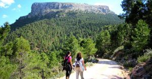 Peña del Cambrón. Jaén, Andalucía.