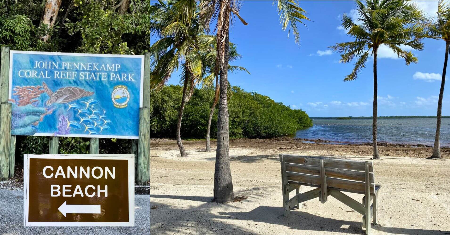Pennekamp Park Coral Reef State Park. Road Trip Sur de La Florida. Estados Unidos.
