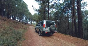 Pinares de El Tiemblo. Ruta 4x4 Valle de Iruelas, Ávila. Castilla y León.