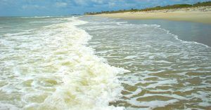 Playa de Sebastián. Melbourne, Florida. Estados Unidos.