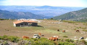 Pradera del Pozo de la Nieva, Valle de Iruelas. Ávila. Castilla y León.