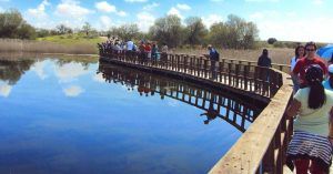Puente del Parque Nacional de las Tablas de Daimiel. Ciudad Real, Castilla la Mancha.