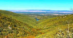 Puerto de La Quesera. Vistas del Bosque de Hayas. Riofrío de Riaza. Segovia. Castilla y León.