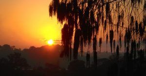 Puesta de Sol en Erna Nixon Park. Melbourne, Florida. Estados Unidos.