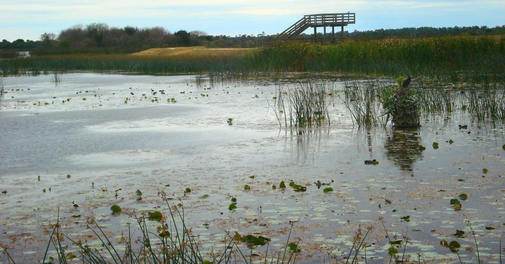 Puesto de Observación de Ritch Grissom Memorial Wetlands. Brevard, Melbourne. Florida. Estados Unidos.