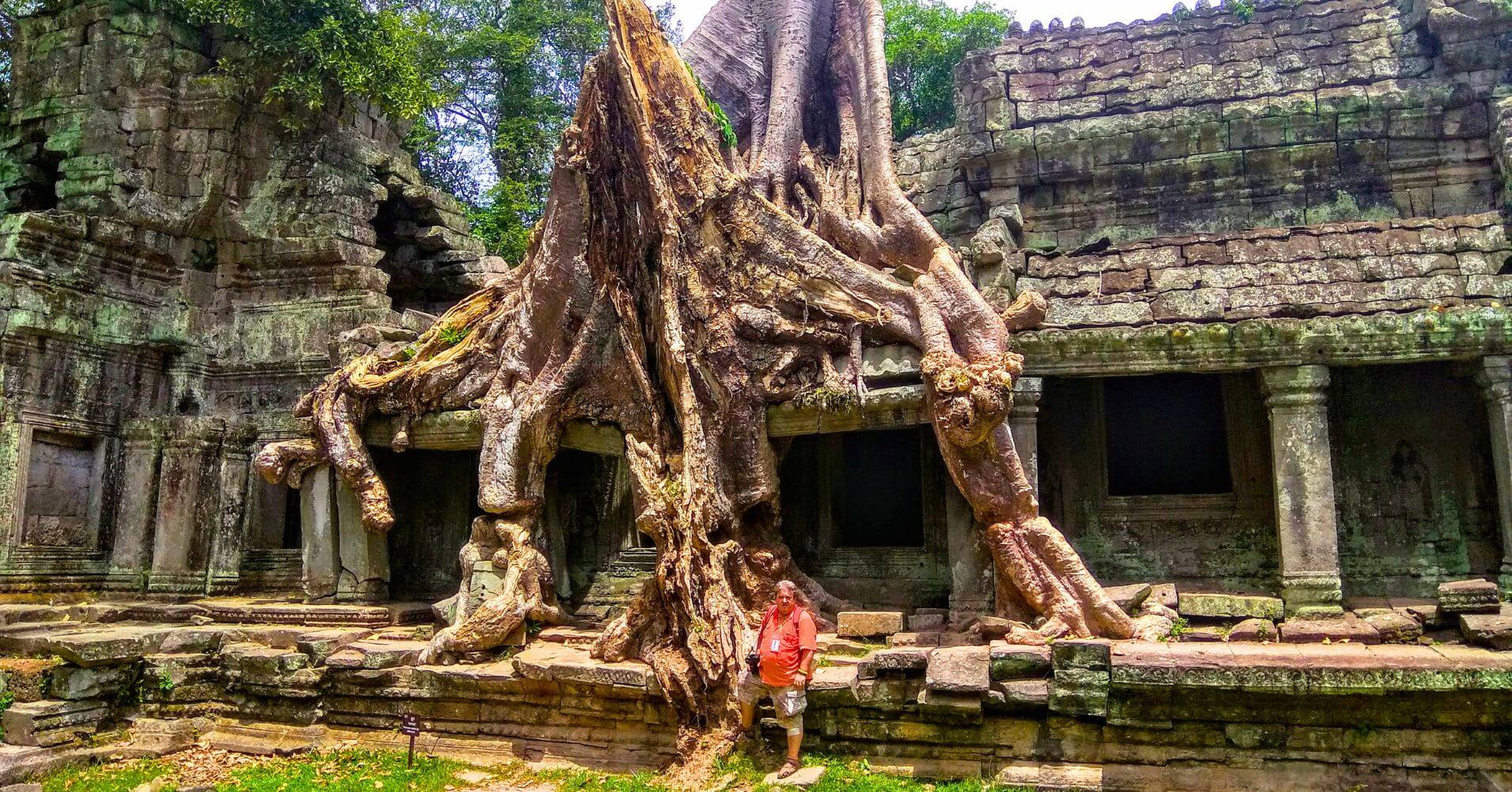 Raíces en los Templos de Angkor. Camboya.