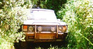Range Rover entre vegetación.