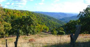 Refugio de Sierra Morena. Parque Natural de la Sierra de Aracena y Picos de Aroche. Arroyomolinos de León. Huelva.