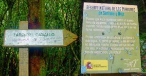 Reserva Natural Marismas de Santoña y Noja. Cantabria.