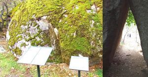 Rincón de Las Hiedras y Cueva del Oso. Bosque de La Herrería. Madrid.