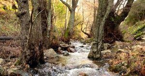 Río Cereceda, Fuencaliente. Ciudad Real, Castilla La Mancha.