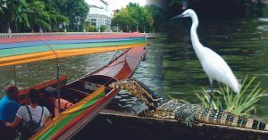 Río cChao Phraya, Bangkok. Tailandia.