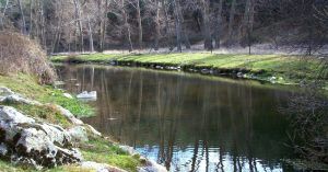 Garganta Río Cofio. Robledo de Chavela. Madrid.