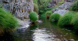 Rio de la Aceña. Peguerinos. Ávila. Santa María de la Alameda. Madrid.