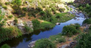 Rio de la Aceña. Peguerinos. Ávila. Santa María de la Alameda. Madrid.