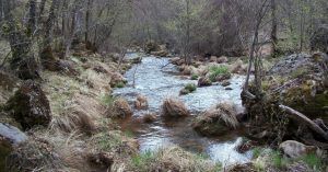 Río Jarama en el Monasterio de Bonaval. Retiendas, Guadalajara. Castilla la Mancha.
