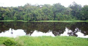 Río Nyong en Ebogo. Camerún.