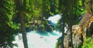 Río Snake, Parque Nacional Grand Tetón. Jackson, Wyoming. Estados Unidos.