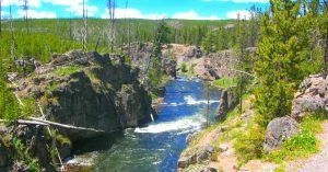 Río Yellowstone. Wyoming, Estados Unidos.