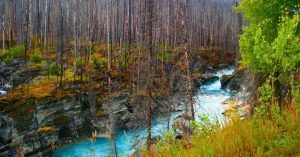 Ríos de Continental Divide. Parque Nacional Kootenay, Columbia Británica. Canadá.