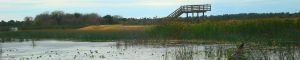 Ritch Grissom Memorial Wetlands. Brevard, Melbourne. Florida.